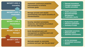 triodin_organisation_maturity_levels